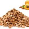 Apricot Seeds- trendhimachal.com